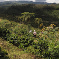Guatemala Luis Valdez