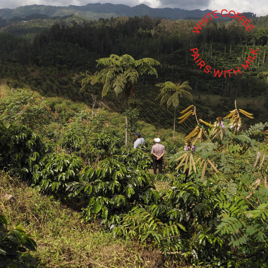 Guatemala Luis Valdez