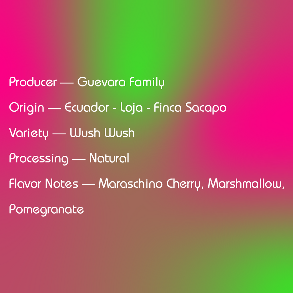 Ecuador Guevara Family - 2323 Collaboration
