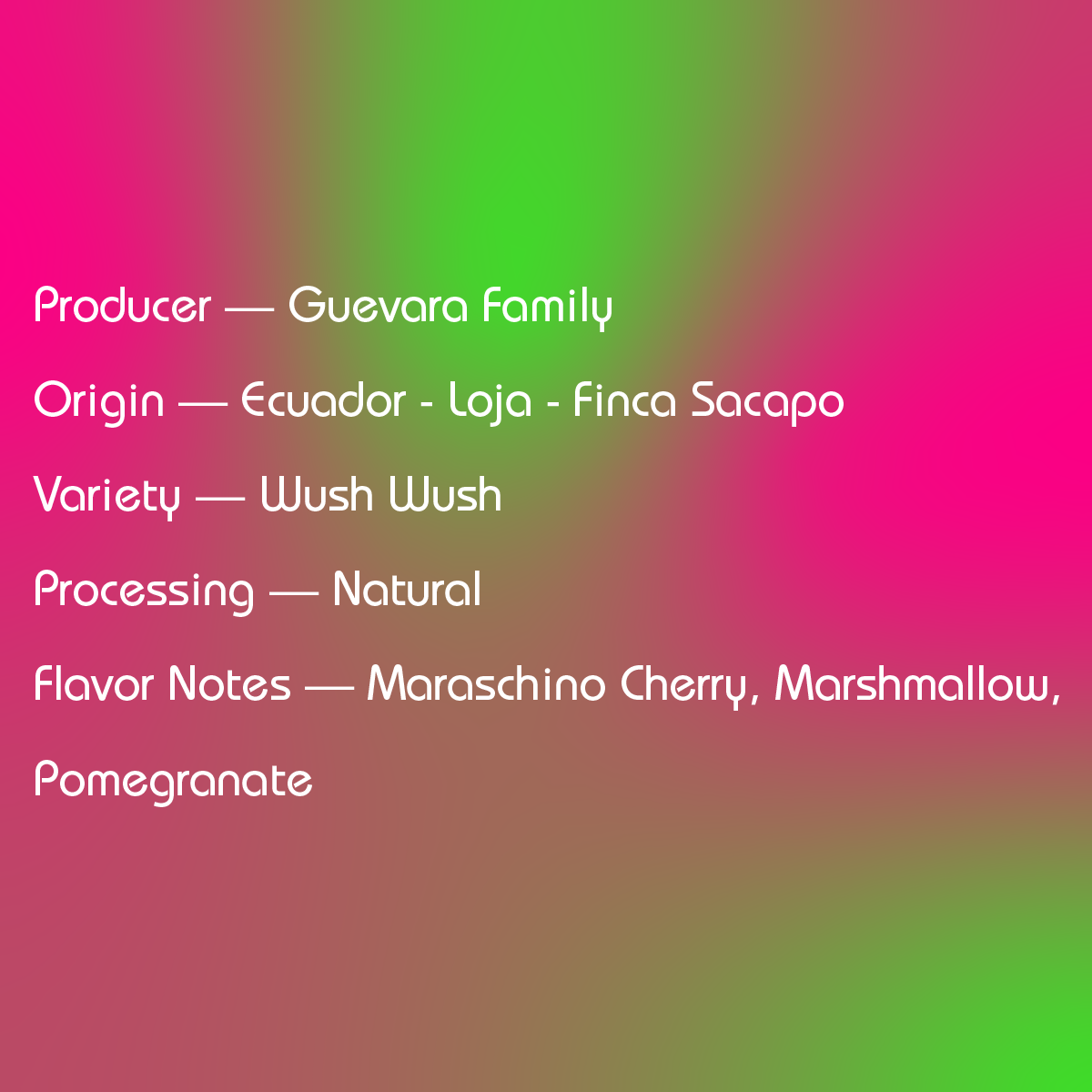 Ecuador Guevara Family - 2323 Collaboration