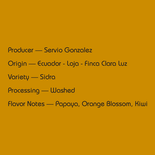 2026 - Ecuador Servio Gonzalez - Sidra