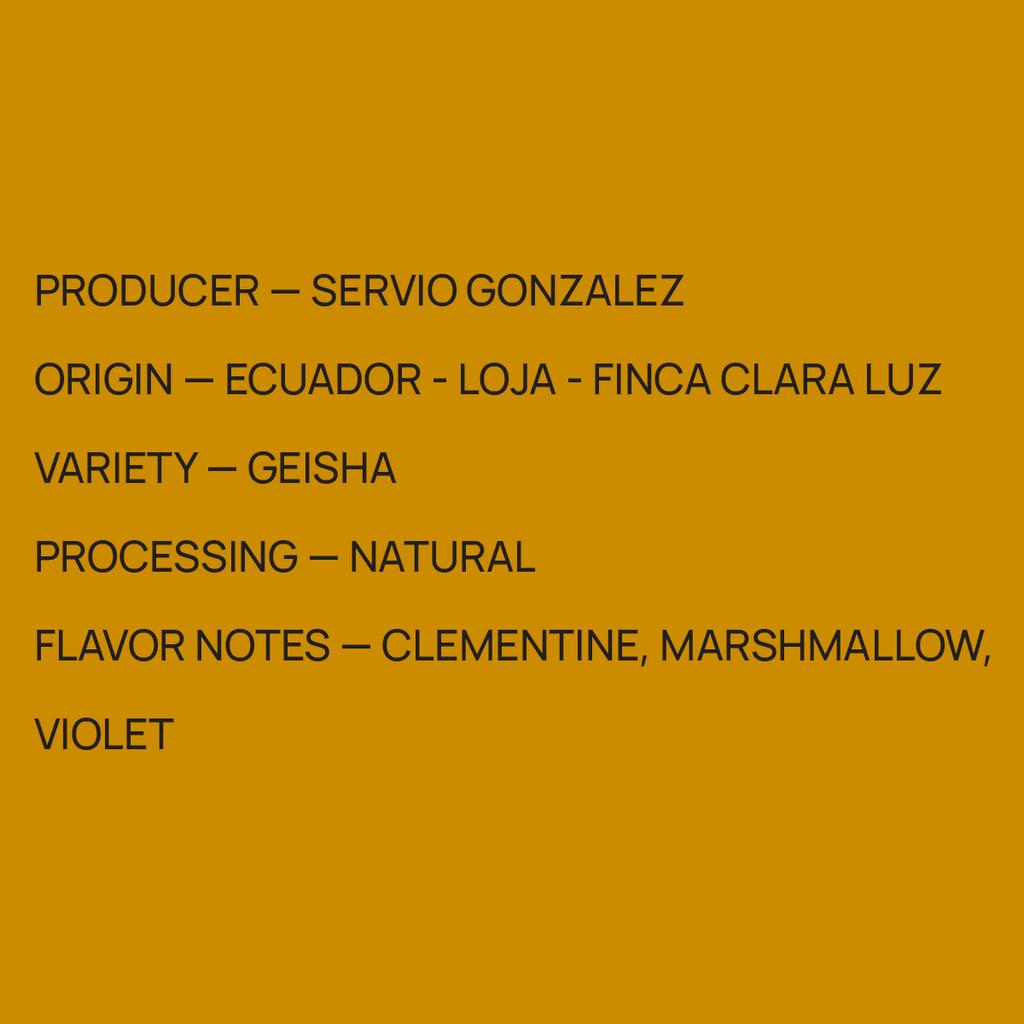 Ecuador Servio Gonzalez - Geisha