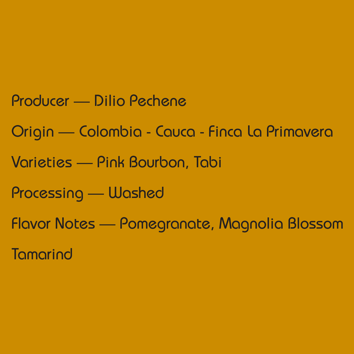 Colombia Dilio Pechene — Best of Cauca No. 1