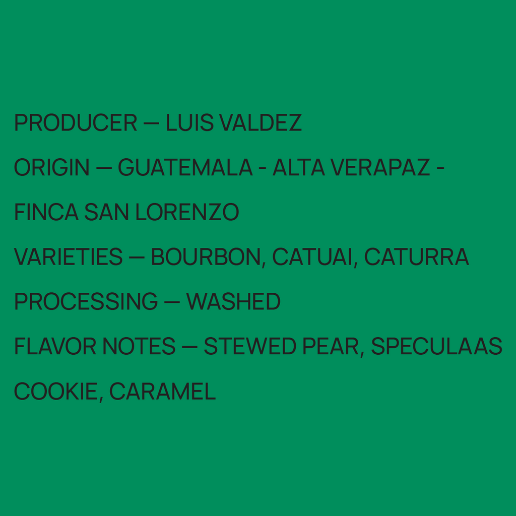 Guatemala Luis Valdez