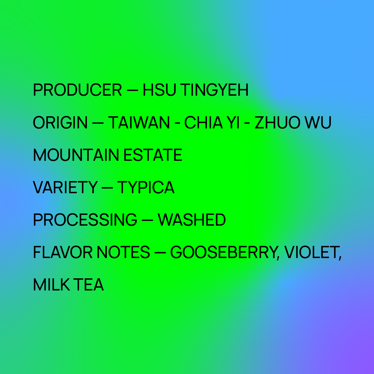Taiwan Hsu Tingyeh - Typica - Looproom Collaboration