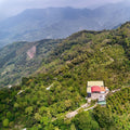 Taiwan Hsu Tingyeh - Typica - Looproom Collaboration